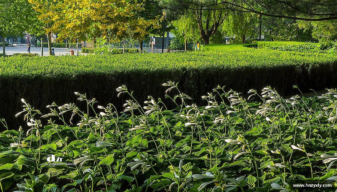 vsport体育官网爱上运动，爱上生活！